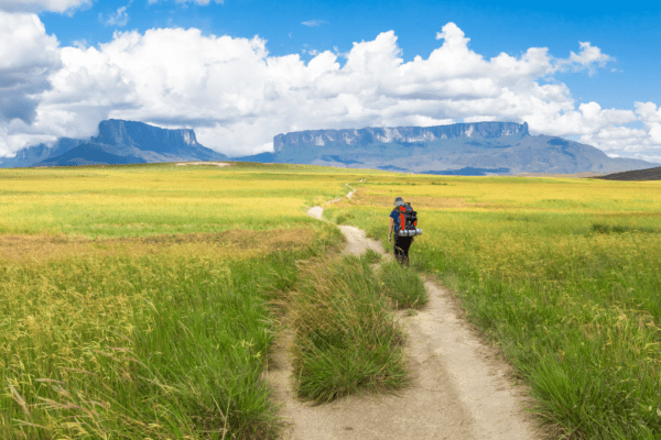 Canaima National Park’s Full Guide : Top things to do in Canaima - 2024